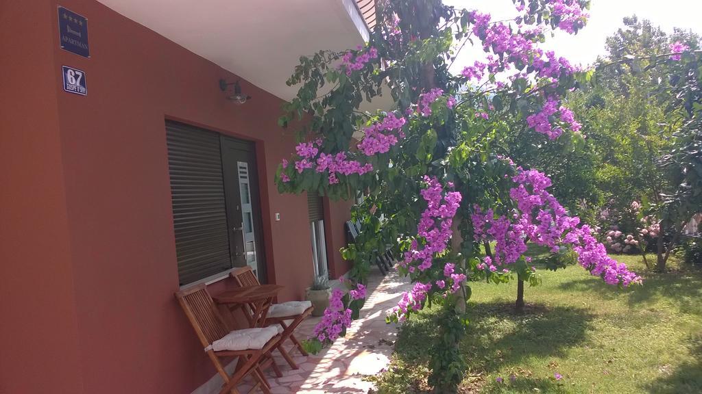 Dadule Apartments بودْسْتغانا المظهر الخارجي الصورة